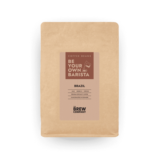 Brazil Coffee Beans-0